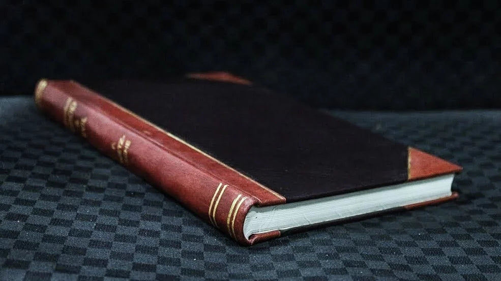 Dichtungen, von prinz Emil von Schoenaich-Carolath. (1919) [Leatherbound]