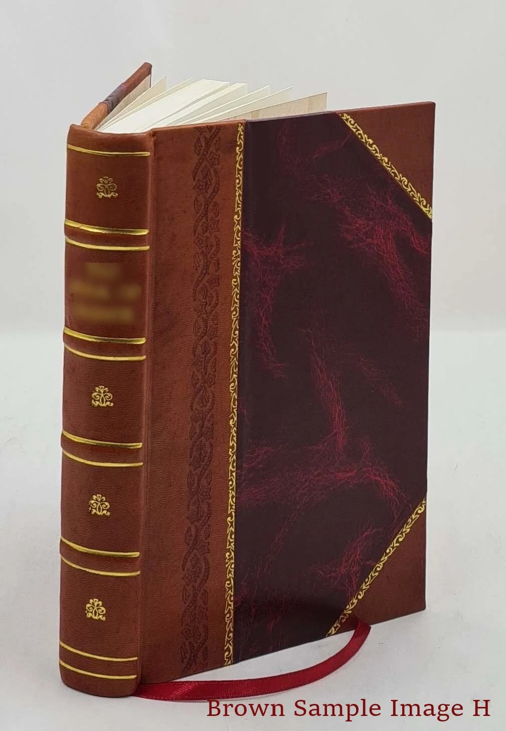 The trial of the assassins and conspirators at Washington City, [Leather Bound]