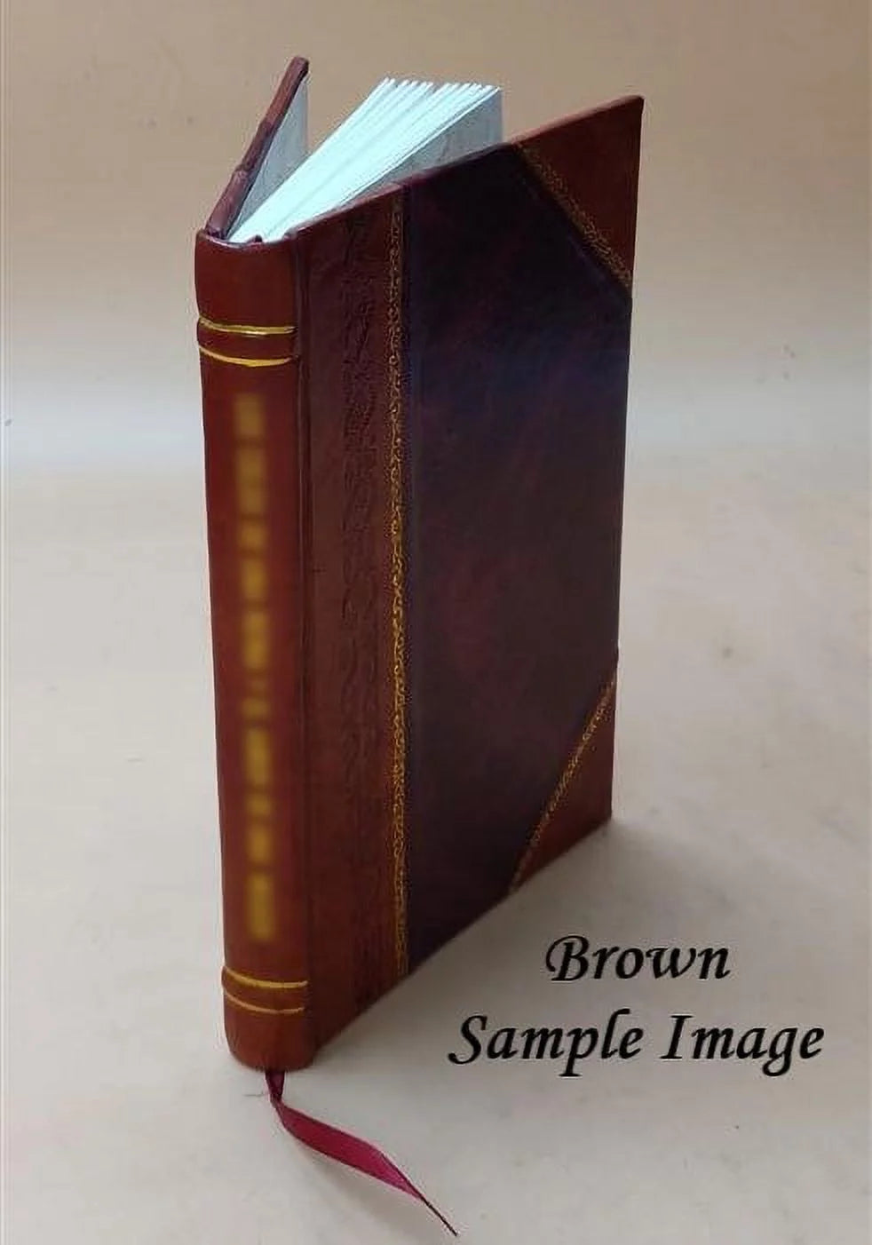 Academie Des Inscriptions et Belles Lettres 1878: Vol 22 Index Volume 22 1878 [LEATHER BOUND]