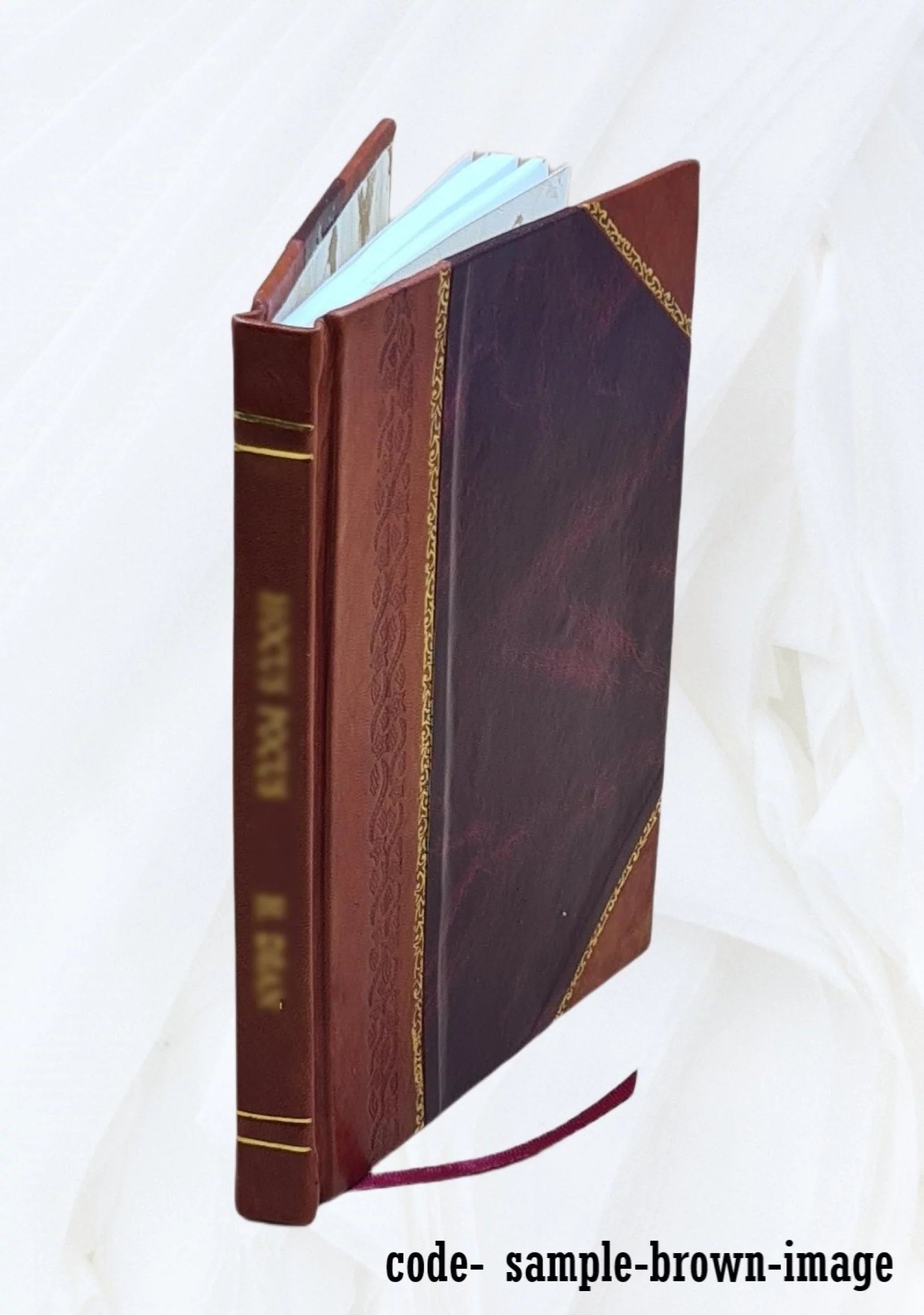 Open-file report / U.S. Geological Survey Volume no.81-498 1999 [Leather Bound]