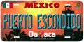 Puerto Escondido Mexico Novelty Car Auto License Plate